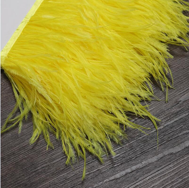 13-18CM 6M Ostrich Feather tri - Feather Trim Marabou ulasan dan harga